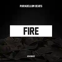 Picture for song 'Fire' by artist 'Parabellum Beats'