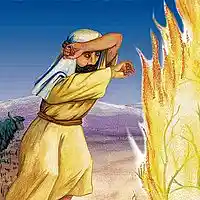 Picture for song 'Burning Bush' by artist 'Peter Kosta's Galaxy Rock Band'