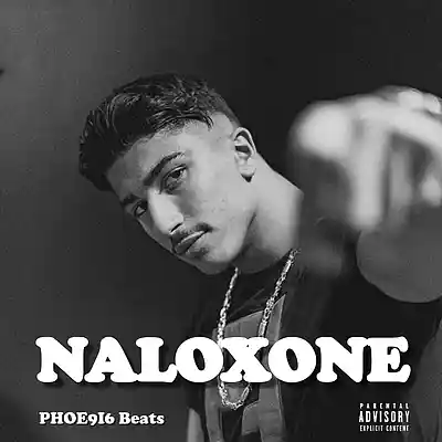 Picture for song 'Mero x Kanye West Dark Trap Type Beat - NALOXONE' by artist 'PHOE9I6 Beats'