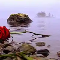 Picture for song 'i'll see you again 4...' by artist 'stefanos grigoriadis'