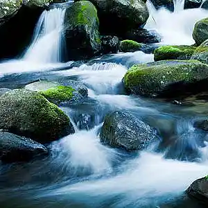 Picture for song '14_Follow a Stream_Clint Lavens' by artist 'Clint Lavens'