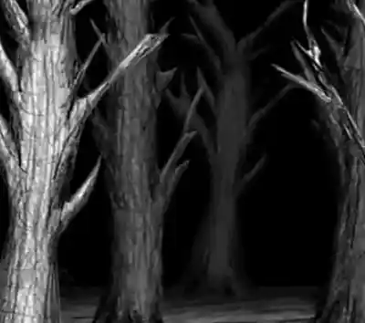 Picture for song 'A Forest' by artist 'DaLer'