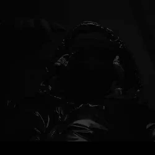 cover pic