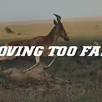 Picture for song 'Movin Too Fast' by artist 'jgladmusic'