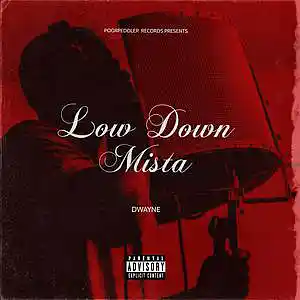 Picture for song 'TONY MONTANA REBIRTH' by artist 'Richard dwayne Brown'