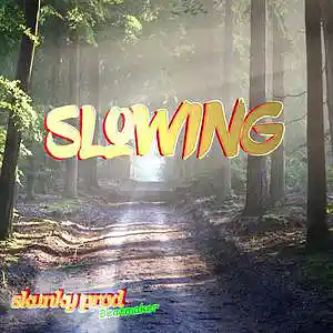 Picture for song 'Slowing * rap beat 134bpm' by artist 'Skunky Prod Beatmaker'