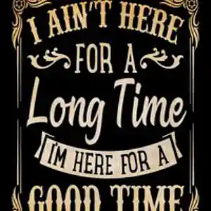 Picture for song 'For The Good Times ' by artist 'Swampman And The Machine'