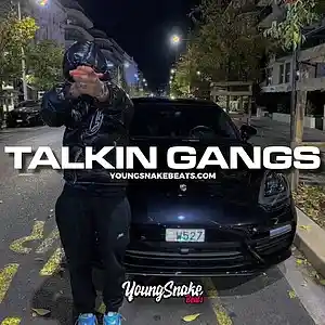 Picture for song '"TALKIN GANGSTA" - Big 30 x Big Scarr x Type Beat' by artist 'Young Snake Beats'