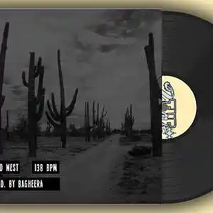 Picture for song 'TRAVIS SCOTT X MEEK MILL Type Beat - Wild Wild Wes' by artist '2TheWave'