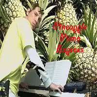 Picture for song 'Pineapple Piano Express bpm 81' by artist 'Chosenbeats.com'