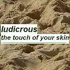 Picture for song 'touch of your skin' by artist 'ludicrous'