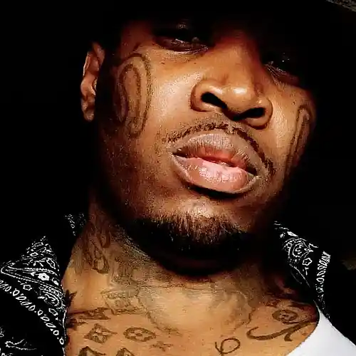 Picture for song 'Rollin & Smokin' by artist 'Mafia Made Music Group LLC.'