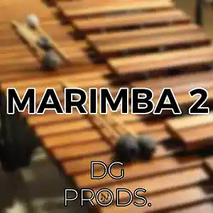 Picture for song 'AFRO - Marimba 2' by artist 'ProdByDGProductions'