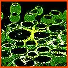 Picture for song 'Mr. Pen' by artist 'Root One'