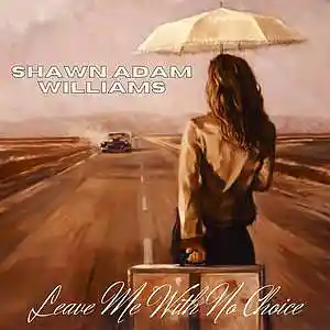 Picture for song 'Leave Me With No Choice' by artist 'Shawn Adam Williams'