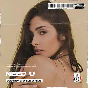 Picture for song 'Need U (Buy 1 Get 2 Free)' by artist 'Shiryai'