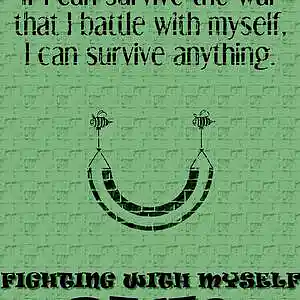 Picture for song 'Fighting With Myself' by artist 'SHK Productions'