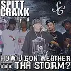 Picture for song 'Pimp sh***' by artist 'Spitt Crakk Rec'