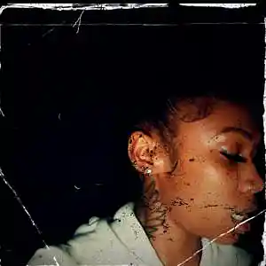 Picture for song 'Silent woo da savage type beat' by artist 'SSSpectral'