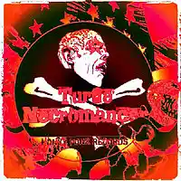 Picture for song 'Solidify' by artist 'Turtle Necromancer'