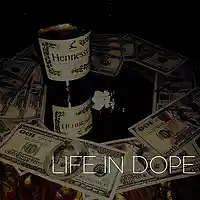 Picture for song 'Life In Dope124BPM' by artist 'VahhaBeatz'