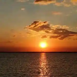 Picture for song 'Summer' by artist 'CherryRizla'