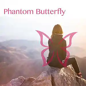 Picture for song 'Phantom Butterfly' by artist 'DareBeats'