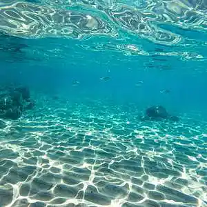 Picture for song 'The Sea (Instrumental)' by artist 'Denzlo'