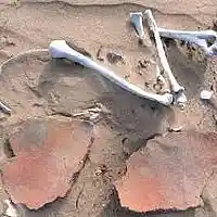 Picture for song 'bone-to-sand' by artist 'Johnny Slapp'