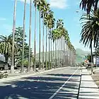 Picture for song 'Ridin'' by artist 'JSowBeats'