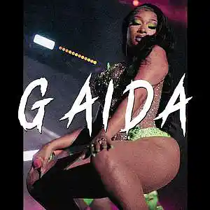 Picture for song 'GAIDA (Flo Milli type beat)' by artist 'RVSN beats'