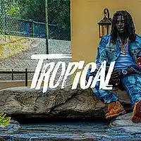 Picture for song '*Tropical* New Futuristic (Free DL)' by artist 'Sean Bentley'