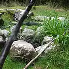 Picture for song 'otrivania' by artist 'Bass Extractor'