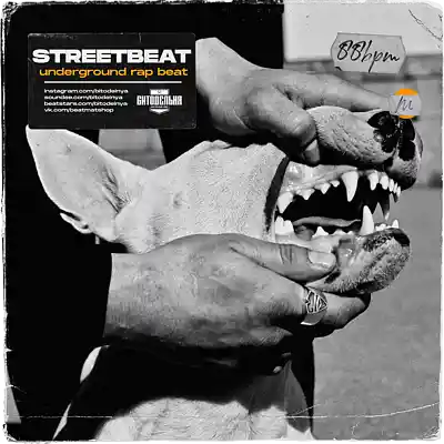 Picture for song 'Streetbeat' by artist 'BITODELNYA'