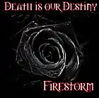 Picture for song 'Firestorm' by artist 'Death Is Our Destiny'