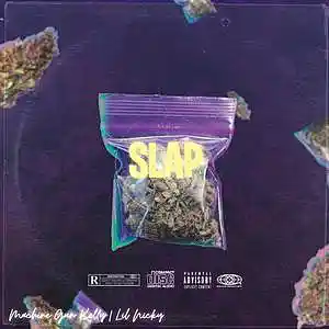 Picture for song '"Slap" Machine Gun Kelly & Kid Ink Type Beat' by artist 'D V 1 R V E R S BEATS'