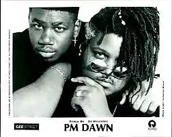 Picture for song 'P.M. Dawn Type Beat "Woke Up On My P.M. Dawn ish.' by artist 'Trackmatic 850'