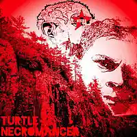 Picture for song 'TipTap' by artist 'Turtle Necromancer'