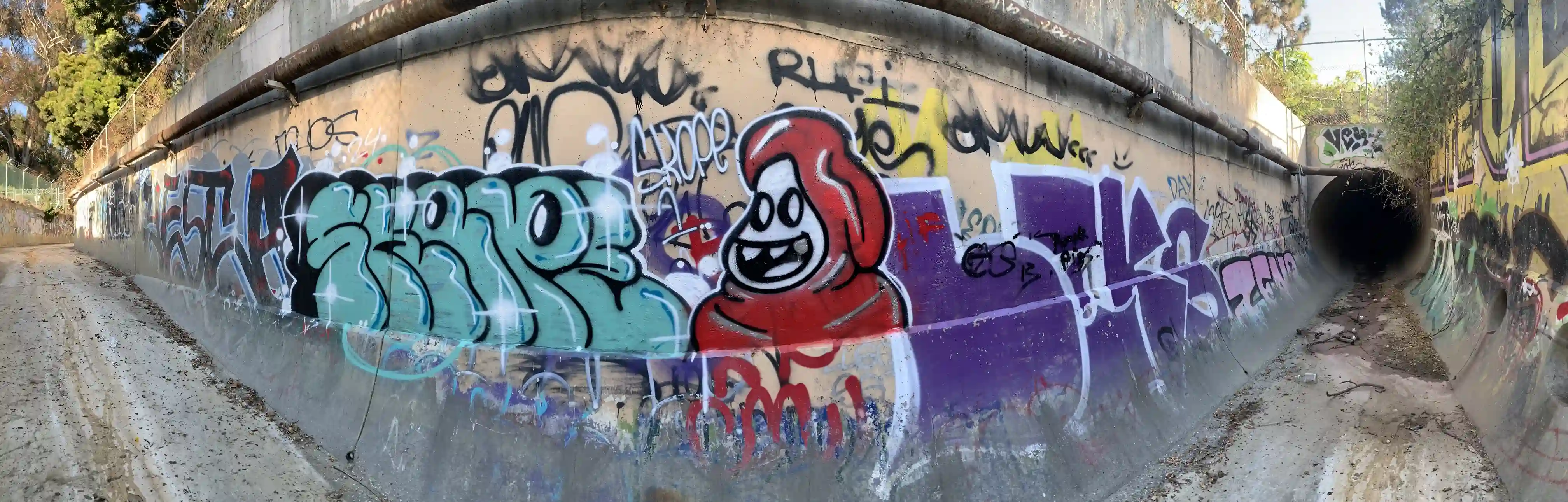 cover pic
