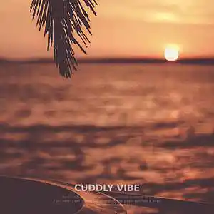 Picture for song '«Cuddly Vibe» (Chill Relaxed Trap Type Beat)' by artist 'CRYWAVE.'