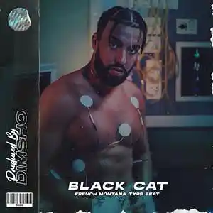 Picture for song 'Black Cat (Trap Type Beat)' by artist 'Dimsho Beats'