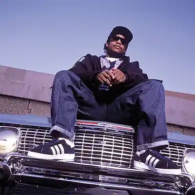 Picture for song '90's Eazy E West Coast Type Beat - "In The Hood"' by artist 'D-Streak057'