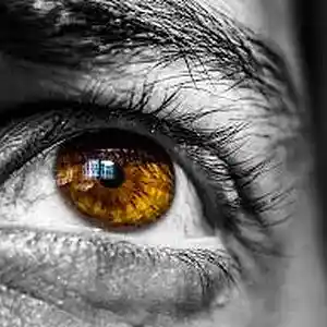 Picture for song 'Heart Full Of Soul' by artist 'hibeamz'