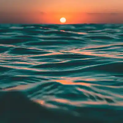 Picture for song 'Ocean in a Bottle' by artist 'Johanna Renfro'