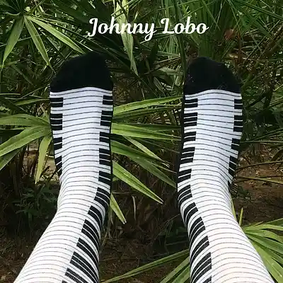 Picture for song 'THE LAND OF THE PALM TREES' by artist 'Johnny Lobo Music'