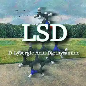 Picture for song 'LSD' by artist 'Dysfunctional Citizen'