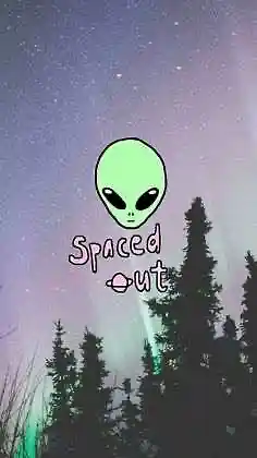 cover pic