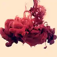 Picture for song 'Smoke Weed Everyday - Banger' by artist 'Pabsgc'