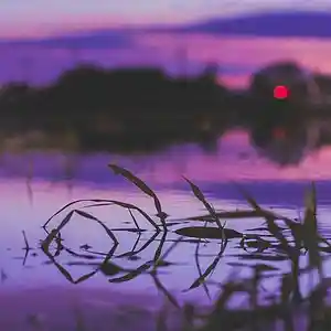 Picture for song '"Can We" Beat for Sale' by artist 'whoDeanyBeatz'