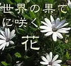 Song picture